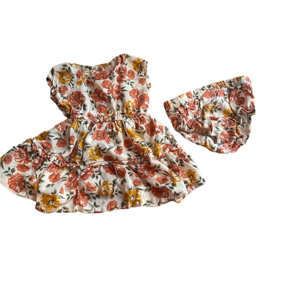 Little Lass Floral Frilly Dress with Matching Britches